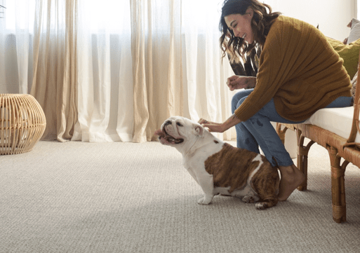 Pet friendly carpet flooring | Big Bob's Flooring Outlet Ohio